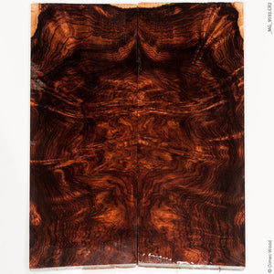 Natural wood honduran rosewood burl panels