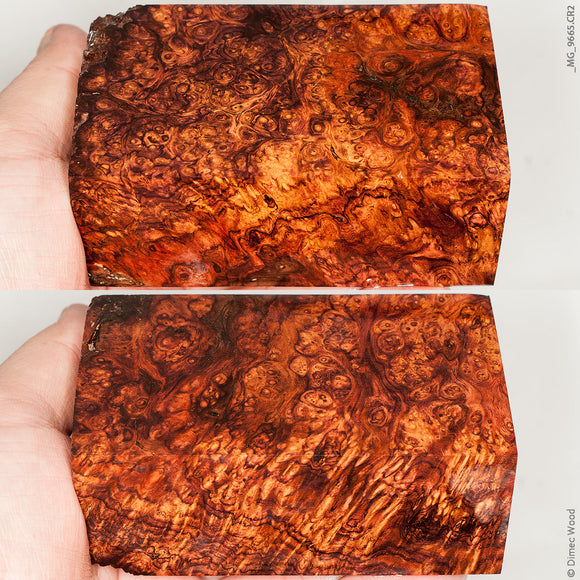 Natural wood honduran rosewood burl block